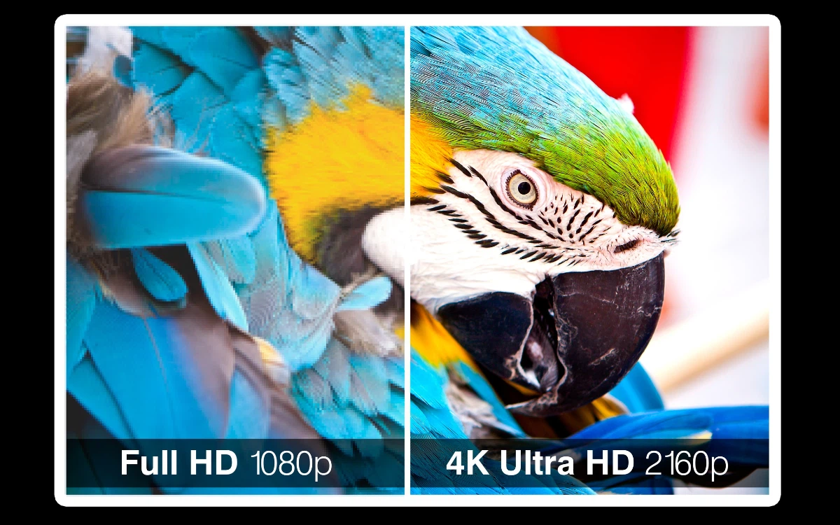 Hơn 100+ hình nền máy tính 4K đẹp chất lượng cao đang chờ bạn tải về miễn phí