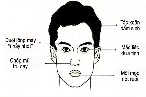 Nhìn mặt bắt hình dong: Tướng mặt chọn chồng 'chuẩn nhà người ta'