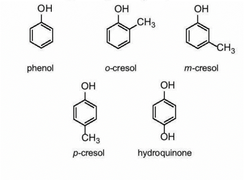 Lý thuyết hóa 11 - Phenol