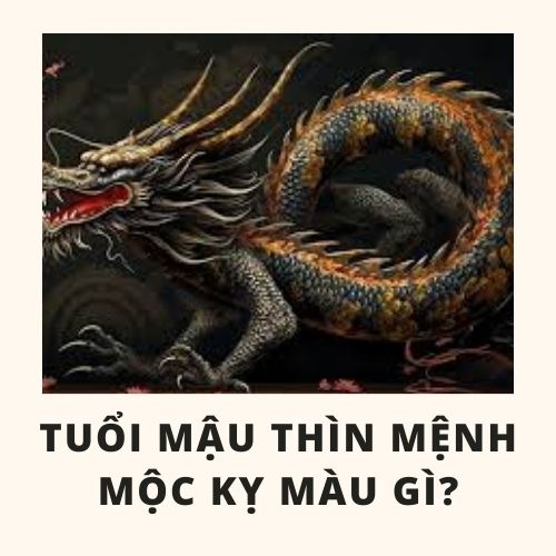 Tuổi thìn hợp màu gì và cách chọn màu sắc hợp với tuổi thìn