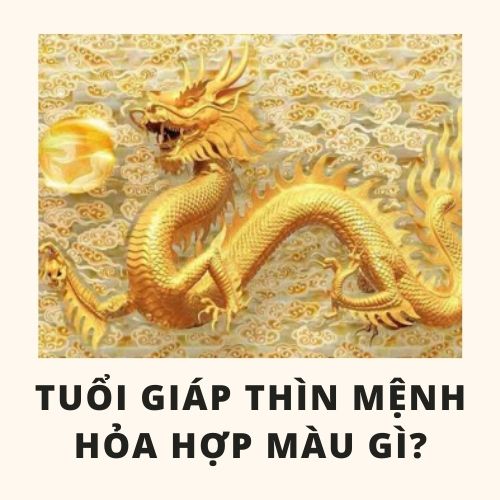 Tuổi thìn hợp màu gì và cách chọn màu sắc hợp với tuổi thìn