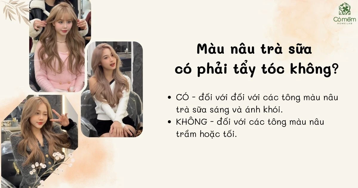 Thử ngay 1001 màu tóc nâu trà sữa trẻ trung, sáng da nhất 2024