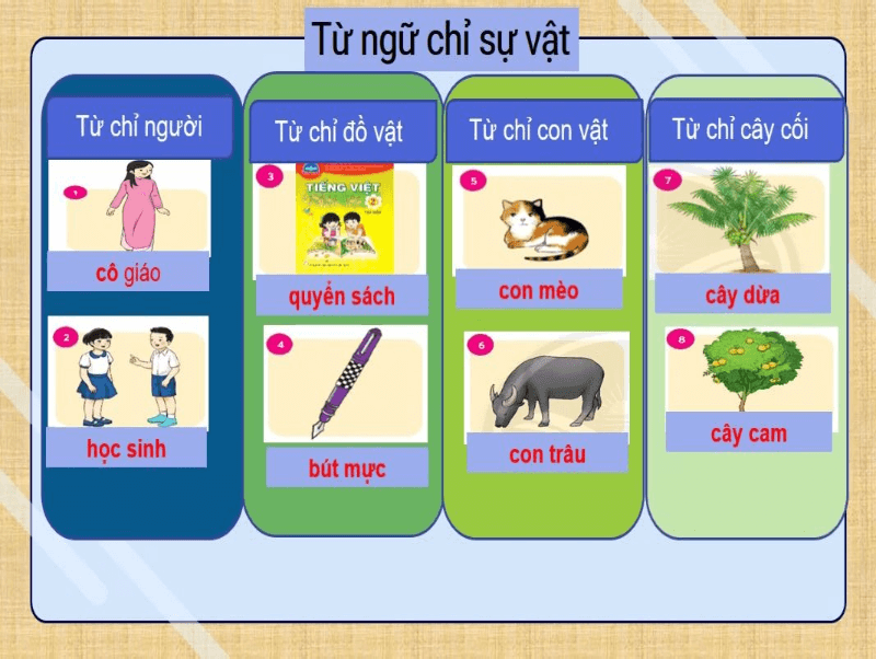 Từ chỉ sự vật là gì? Đặc điểm, phân loại và bài tập từ chỉ sự vật tiếng Việt