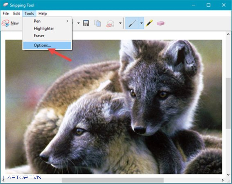 Tải Snipping Tool: Phần mềm chụp ảnh màn hình máy tính 2024 I Laptops.vn