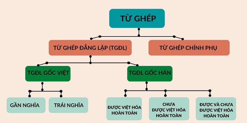 Từ phức là gì? Đặc điểm, phân loại & cách sử dụng từ phức trong tiếng Việt đúng chuẩn