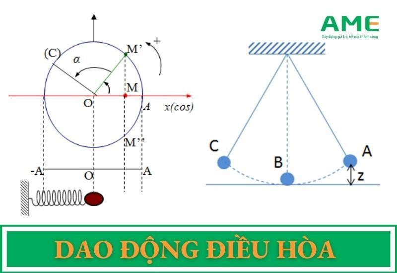 Dao động điều hòa là gì? Công thức và phương trình chi tiết