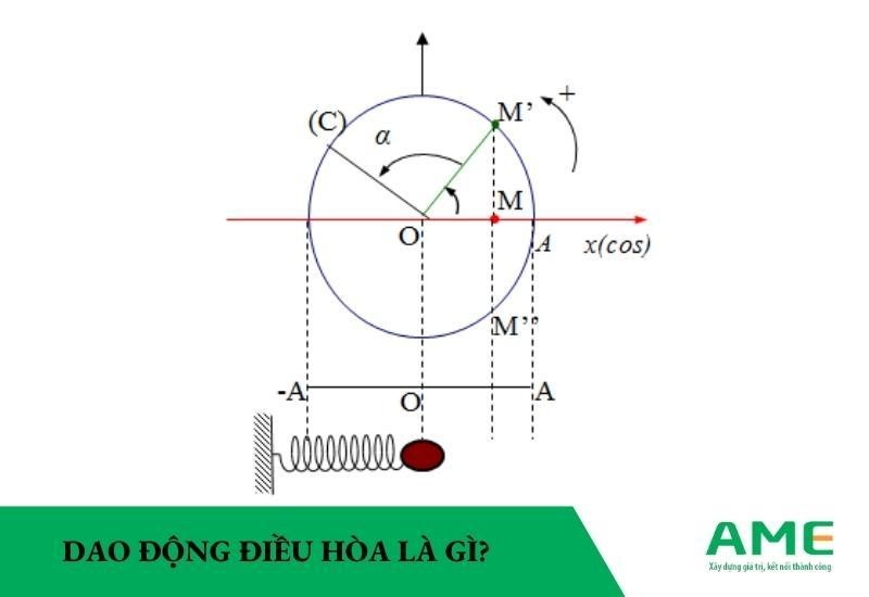 Dao động điều hòa là gì? Công thức và phương trình chi tiết