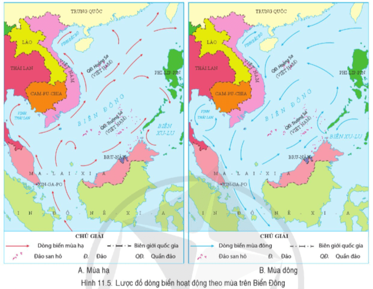 Bài 11. Phạm vi Biển Đông: Các vùng biển của Việt Nam ở Biển Đông: Đặc điểm tự nhiên vùng biển đảo Việt Nam - SGK Lịch sử và Địa lí 8 Cánh diều</>