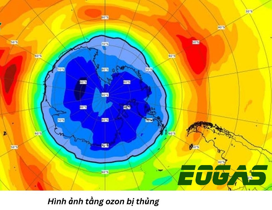 Vai trò của tầng ozon đối với con người và sự sống trái đất