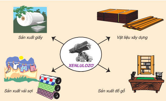 Xenlulozơ là gì? Xenlulozơ thuộc loại nào? Bài tập có Lời Giải