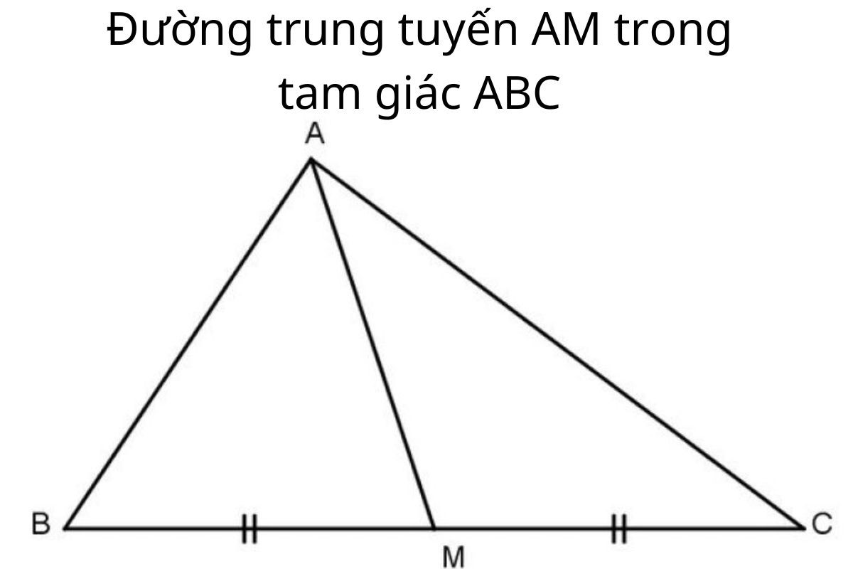 Đường trung tuyến là gì? Tính chất và cách tính dễ nhớ nhất cho học sinh