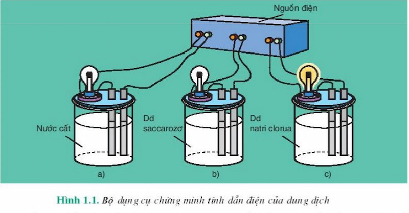 Sự điện li là gì? Lý thuyết và giải bài tập chi tiết