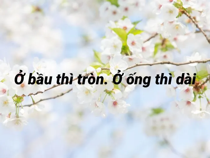 Giải thích ý nghĩa câu tục ngữ