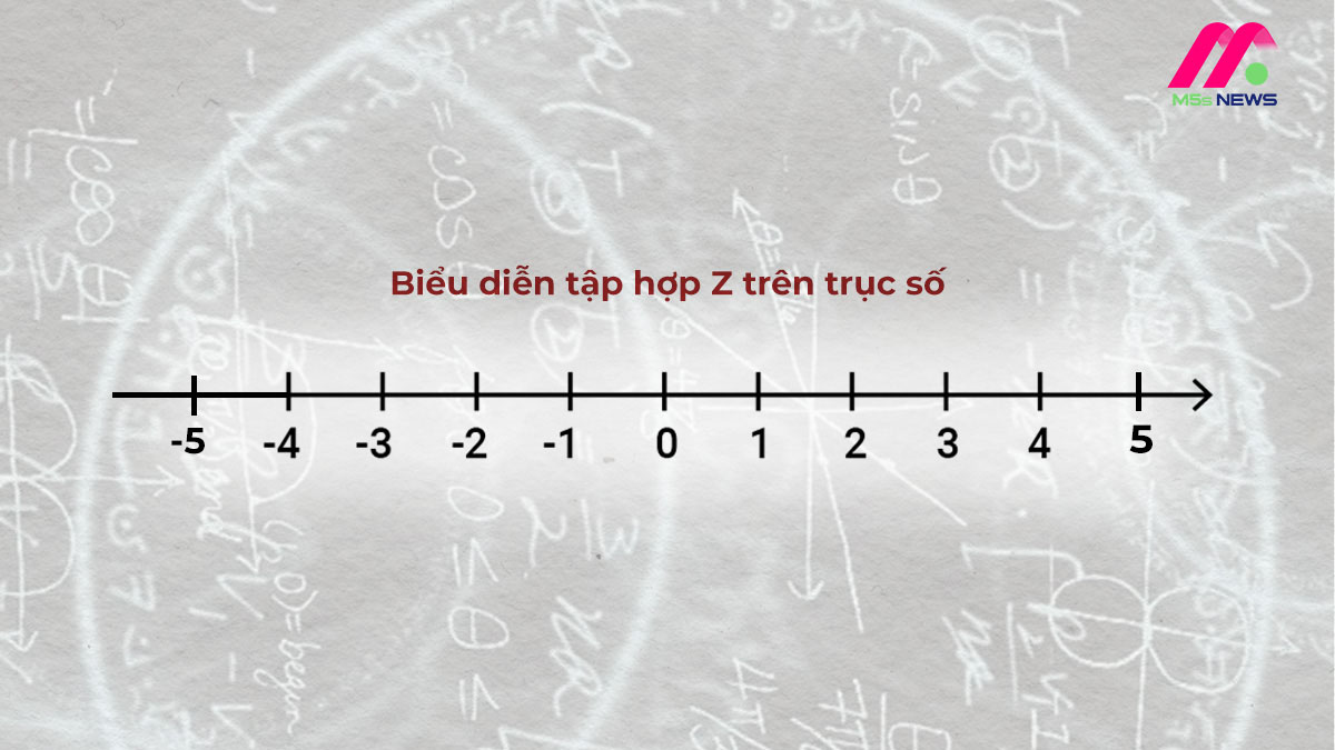 Z là tập hợp số gì? Các dạng bài tập về số nguyên Z