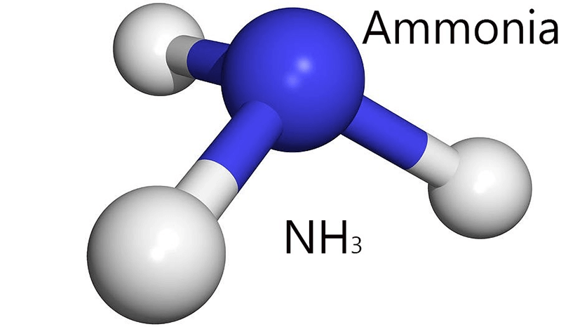 NH3 (Amoniac) là liên kết gì? Là Axit hay Bazơ?