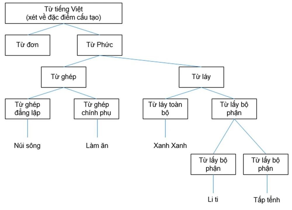 Từ ghép là gì? Cách phân biệt từ ghép từ láy nhanh