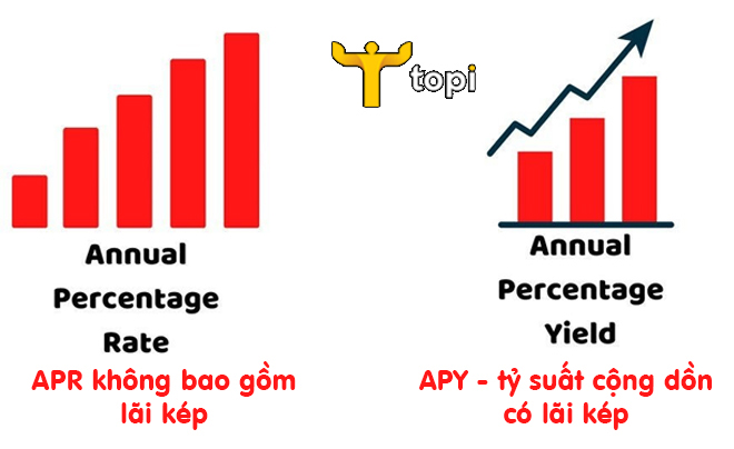 APR và APY là gì? Các xác định lợi nhuận dựa vào APR và APY