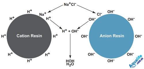 Anion là gì? Công dụng “thần thánh” không phải ai cũng biết