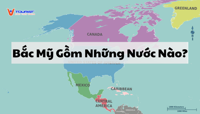 Bắc Mỹ Gồm Những Nước Nào? Thông Tin Mới Nhất 2024