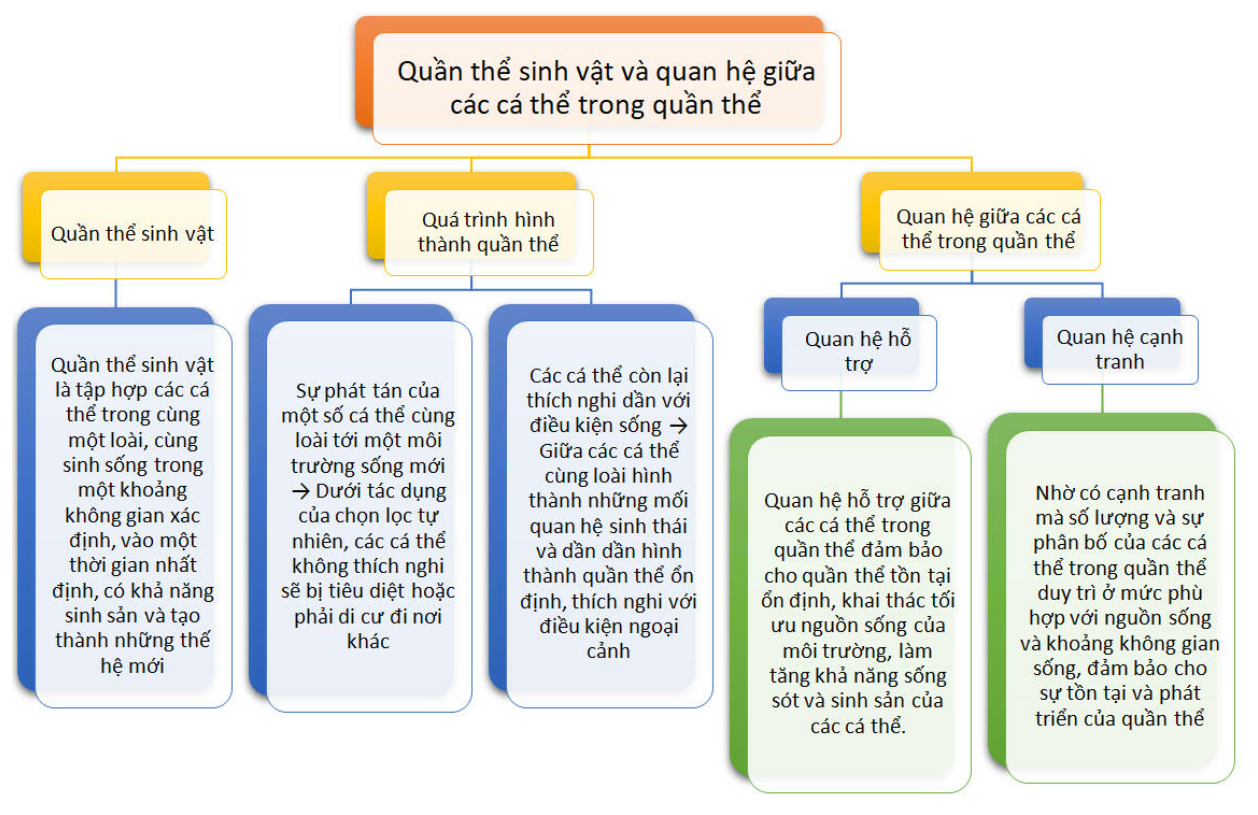 Quần thể sinh vật và mối quan hệ giữa các cá thể trong quần thể - Sinh học 12