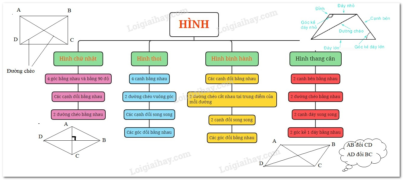 Lý thuyết Hình chữ nhật. Hình thoi. Hình bình hành. Hình thang cân Toán 6 KNTT với cuộc sống</>