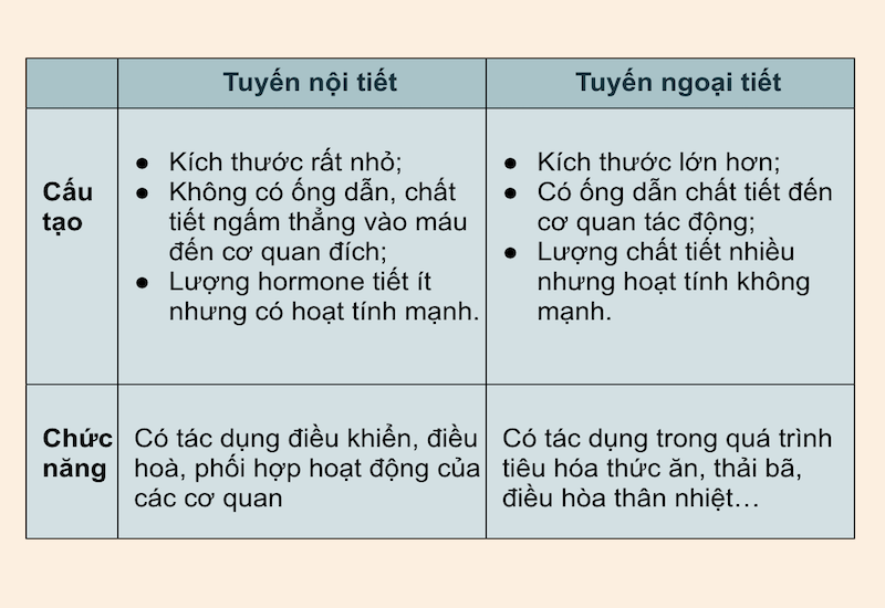 Tuyến nội tiết và tuyến ngoại tiết giống và khác nhau ở điểm nào?