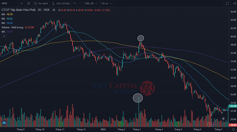 Bull Trap là gì? Cách né “bẫy” Bull Trap trong chứng khoán