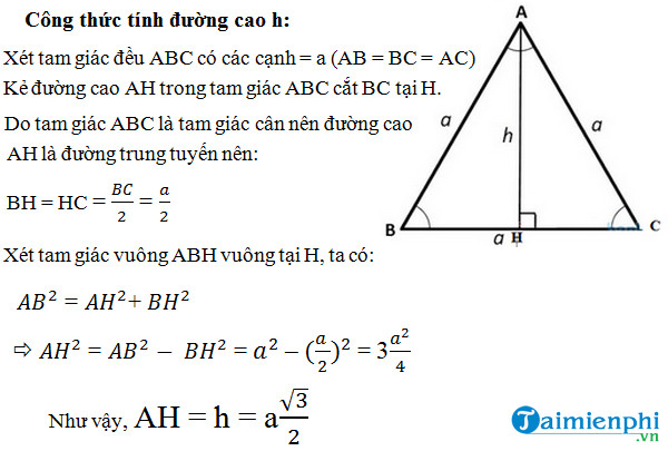 Đường Cao Tam Giác Cân: Tính Chất, Công Thức và Ứng Dụng