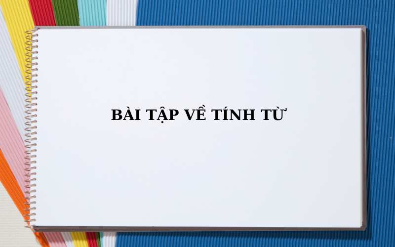 Tính từ là gì? Vị trí, chức năng, phân loại và hướng dẫn cách sử dụng khi học tiếng Việt