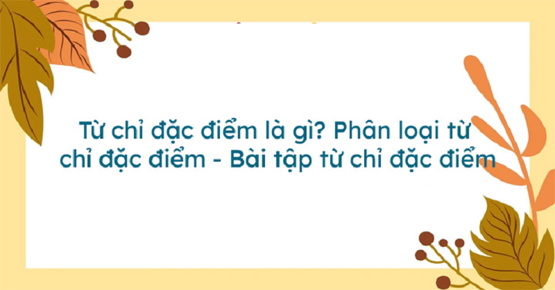 Tiếng việt lớp 2 từ chỉ đặc điểm là gì? Bí quyết cách học đơn giản nhưng hiệu quả