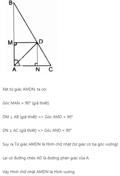 Tổng hợp dạng bài về tứ giác - Định nghĩa, dấu hiệu nhận biết và cách chứng minh