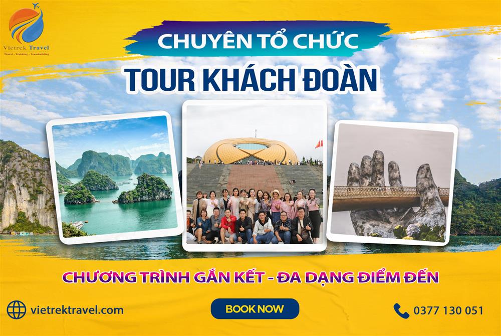 Cách xác định hướng gió thật chính xác và nhanh chóng