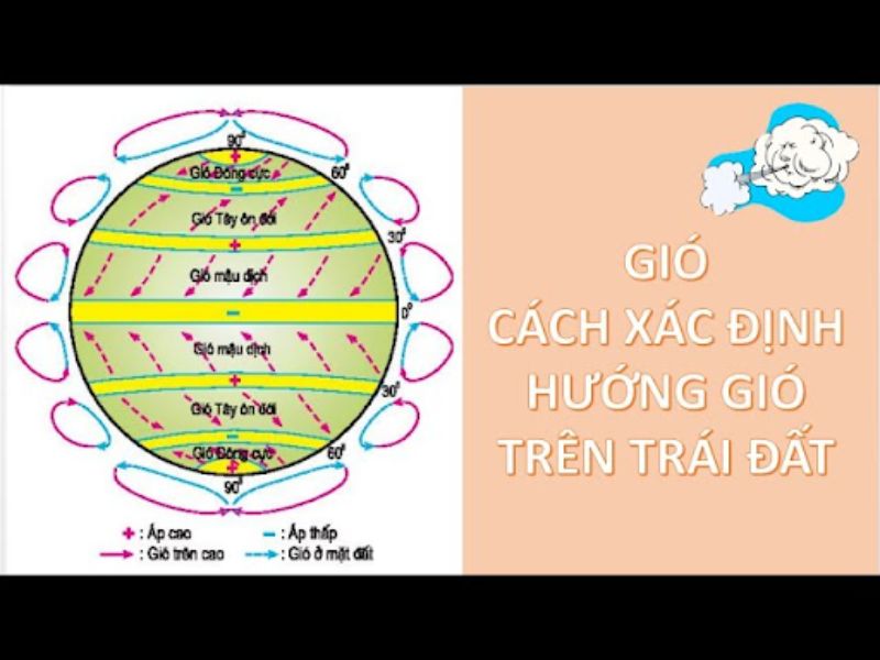 Cách xác định hướng gió thật chính xác và nhanh chóng