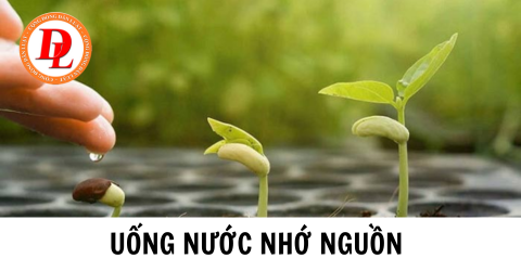 Uống nước nhớ nguồn là gì? Có bắt buộc làm tại doanh nghiệp khi được hỗ trợ chi phí đào tạo không?