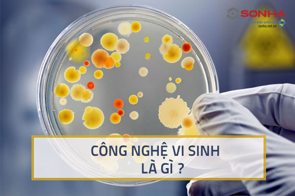 Công nghệ vi sinh là gì? Ứng dụng trong cuộc sống thế nào?