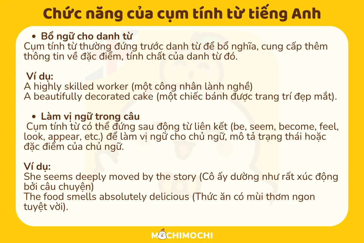 Cụm tính từ là gì? Chức năng và vị trí của cụm tính từ trong tiếng Anh