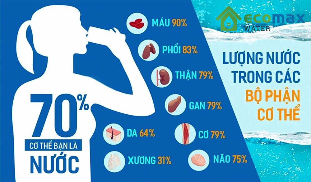 H2O là gì? Cấu Tạo và Tính Chất hoá học của nước, phân loại nước sinh hoạt như nào?