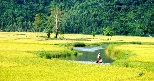 Quê hương là gì? Quê hương có ý nghĩa thế nào đối với mỗi người