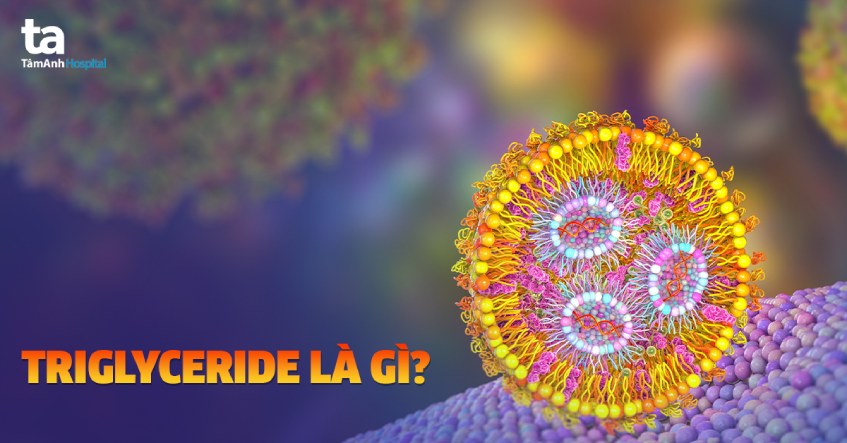 Triglyceride là gì? Vai trò và tại sao lại quan trọng với cơ thể?