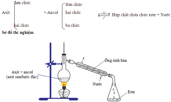 Este là Gì? Tính Chất Hóa Học, Tên Gọi, Cách Điều Chế Và Bài Tập