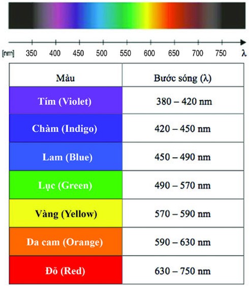 Hiện tượng giao thoa ánh sáng là gì?