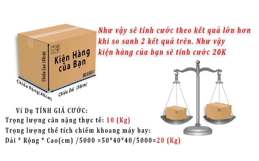 Trọng lượng là gì? Công thức tính trọng lượng? Cách tính chi tiết?