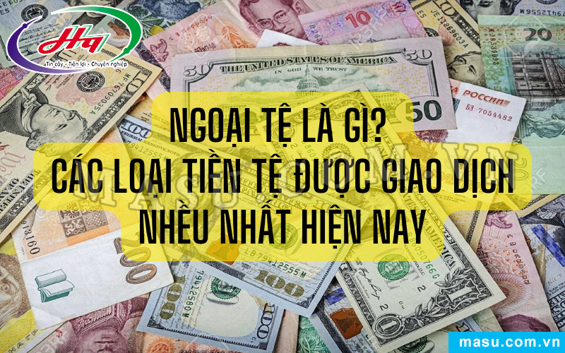 Ngoại Tệ Là Gì? Các Loại Tiền Tệ Được Giao Dịch Nhiều Nhất Hiện Nay