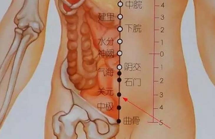 Huyệt Quan Nguyên: Vị trí, tác dụng, cách bấm huyệt - JPXsport