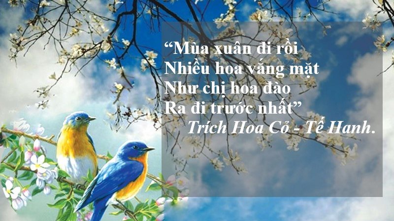 Các thể thơ Việt Nam | 8 loại phổ biến và điểm đặc trưng 