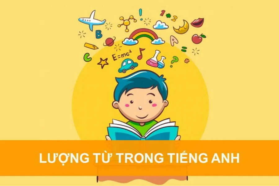 Cách dùng Most, all, no, none, trong tiếng Anh