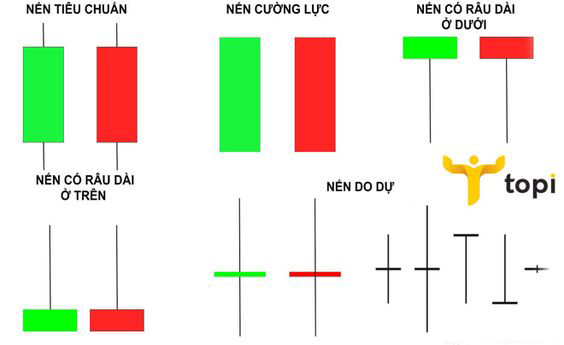 Hướng dẫn cách đọc biểu đồ nến nhật đơn cho nhà đầu tư mới