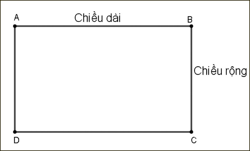 Công Thức & Cách Tính Chu Vi Hình Chữ Nhật