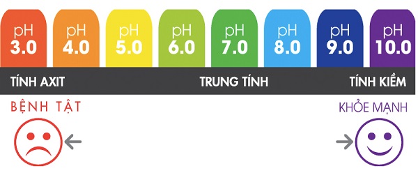 Độ pH là gì? Cách tính độ pH và độ pH của một số dụng dịch phổ biến