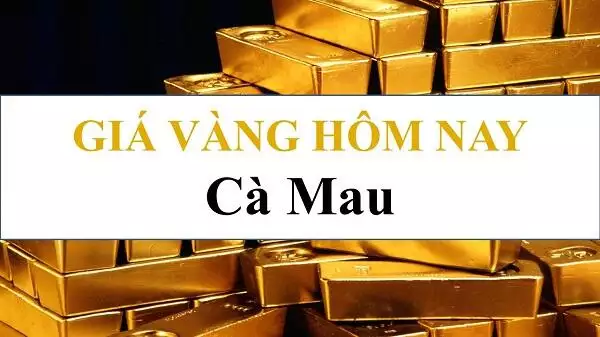 Giá vàng 24k, Giá vàng tây hội kim hoàn Cà Mau hôm nay 19/12/2024